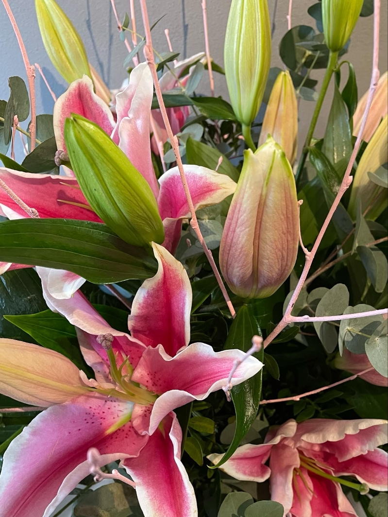 Pretty  Lilies