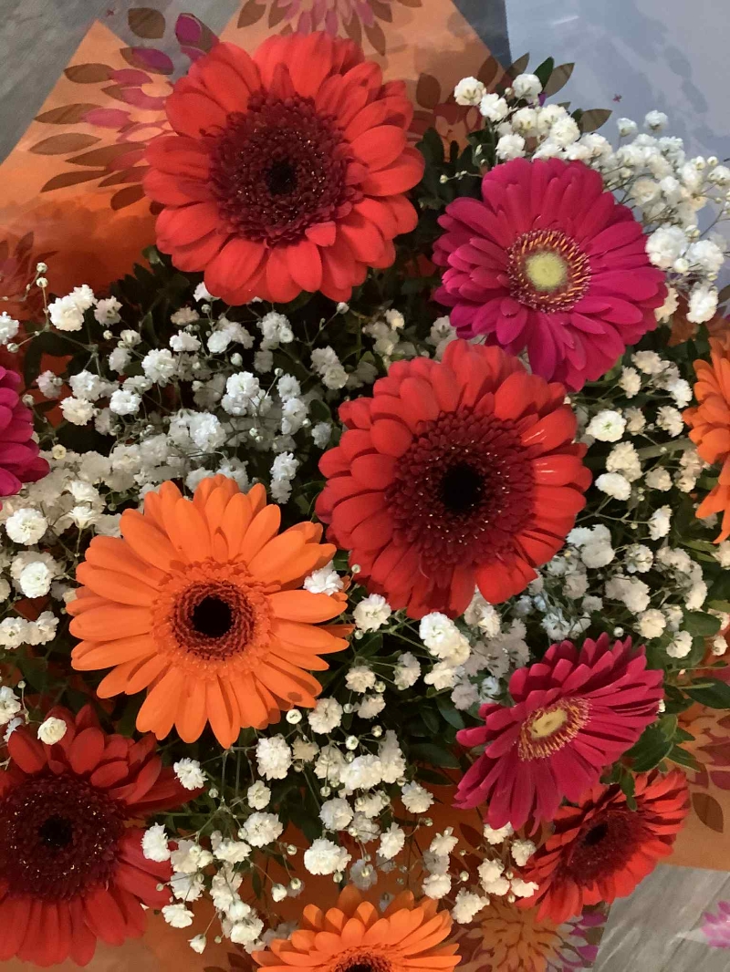 Autumn Gerberas