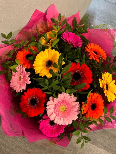 Colourful Gerbera Burst