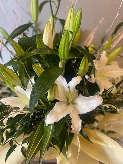 Gorgeous Lilies