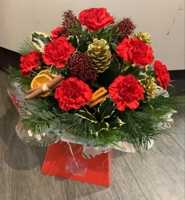 Festive Carnation sensation