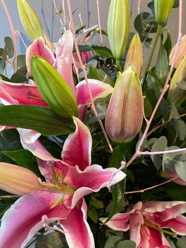 Pretty  Lilies