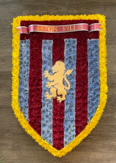 Aston villa shield