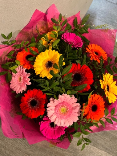 Colourful Gerbera Burst