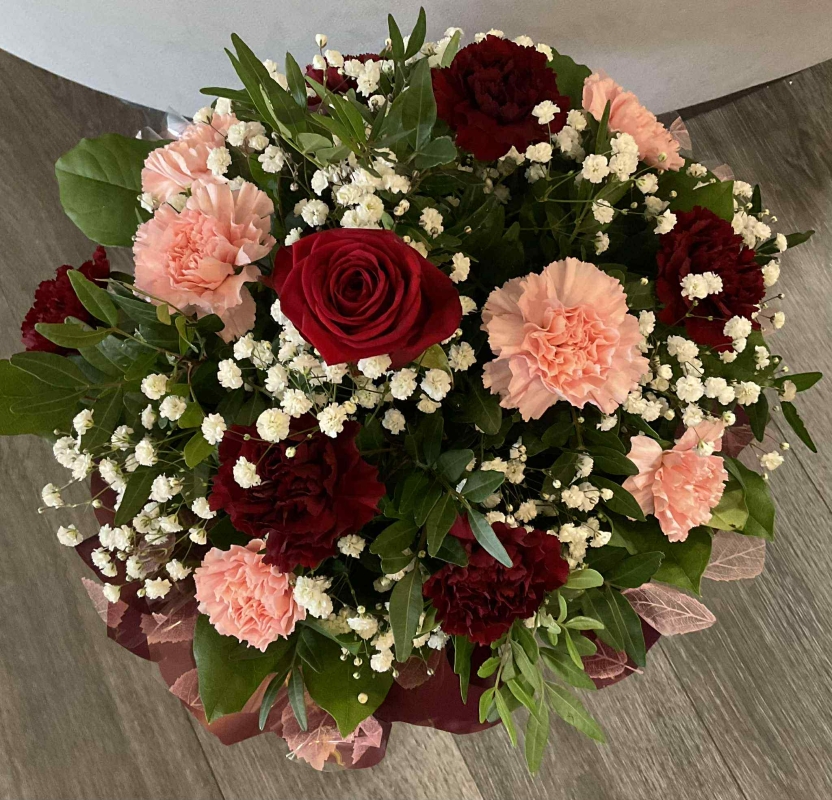 Valentine Carnations